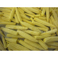 FROZEN WHOLE BABY CORN/ BABY CORN CUT